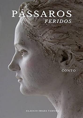 Pássaros feridos