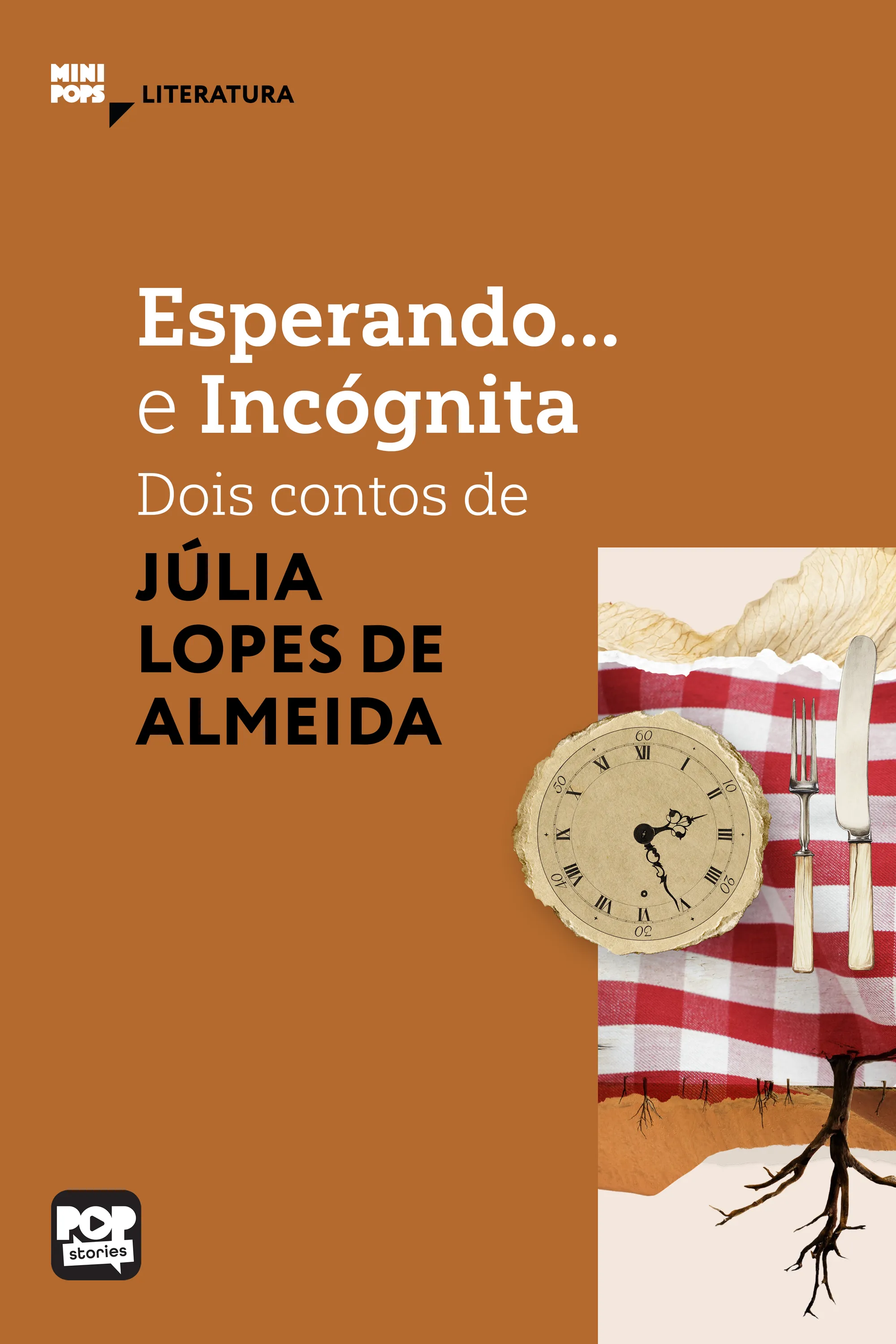 Esperando e Incógnita: Dois contos de Júlia Lopes de Almeida